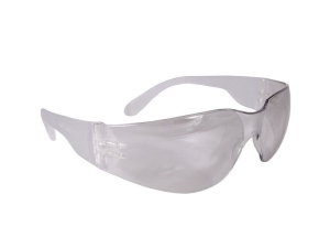 GLASSES, SAFETY, IN/OUTDOOR, ANTI-FOG, RADIAN 191ID, 12/BX